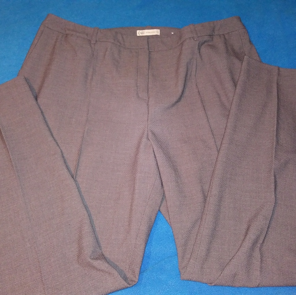 Women's dress pants